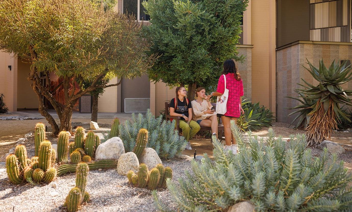 two students sitting on a bench listen to a classmate who is standing in front of them. 